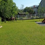 phoca_thumb_m_ponk 18 Fotogalerie